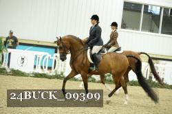 24BUCK_09309 thumbnail