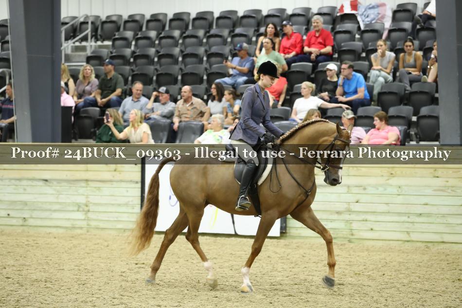 Proof Number 24BUCK_09363