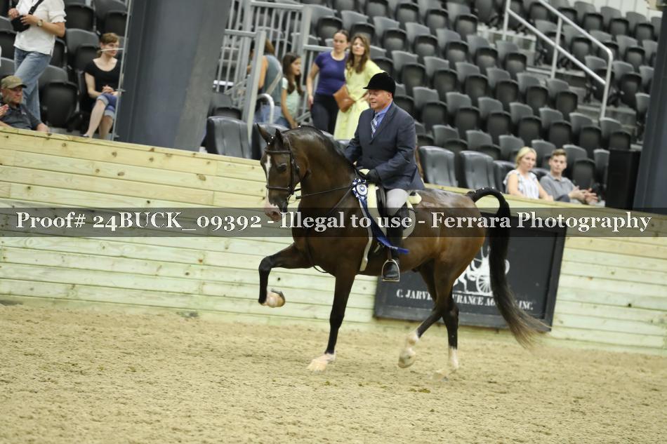 Proof Number 24BUCK_09392