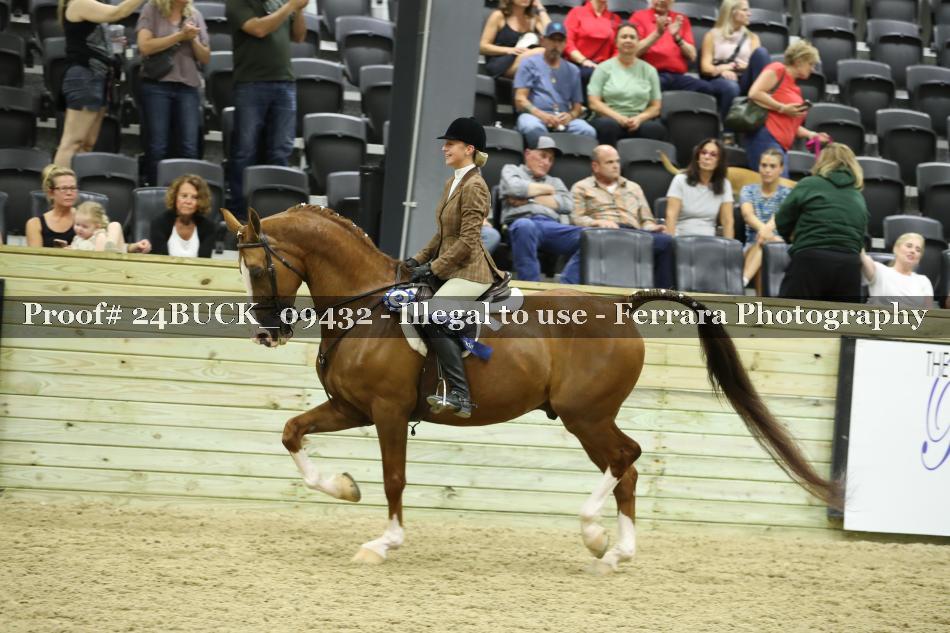 Proof Number 24BUCK_09432