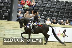 24BUCK_09474 thumbnail