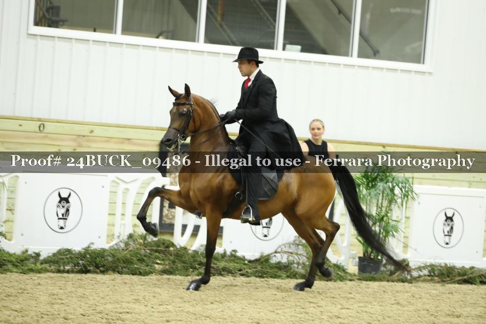 Proof Number 24BUCK_09486