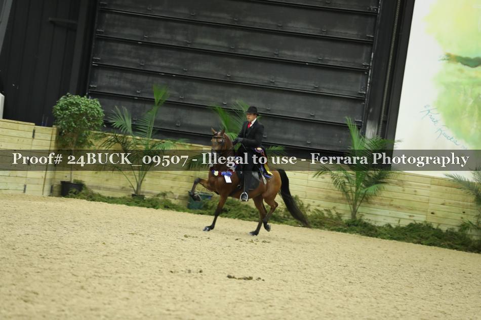 Proof Number 24BUCK_09507