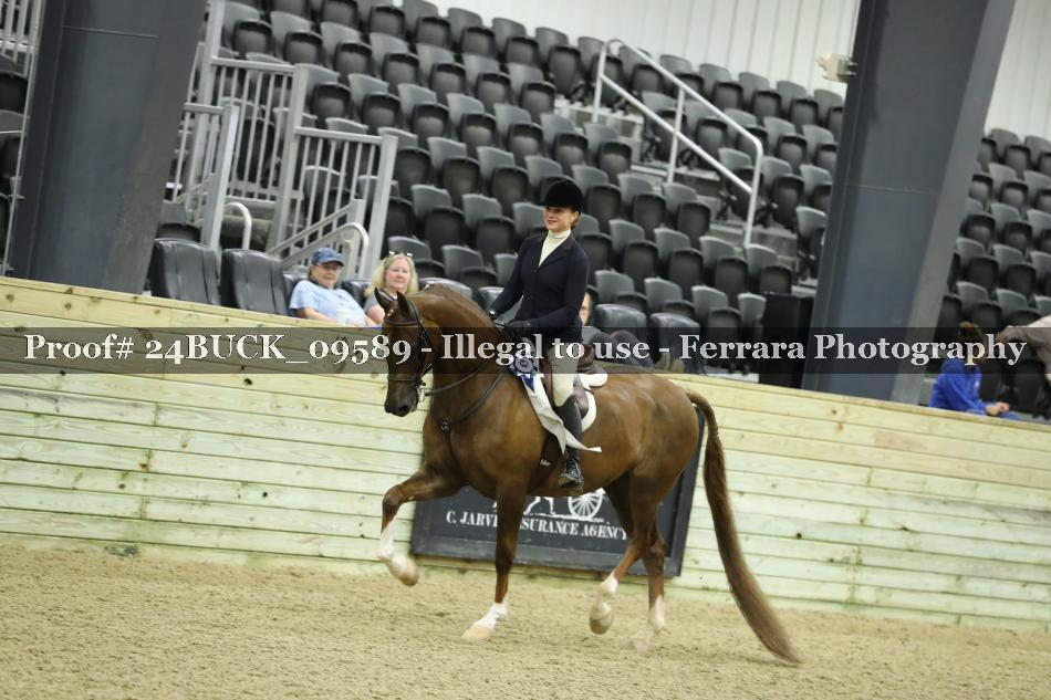 Proof Number 24BUCK_09589