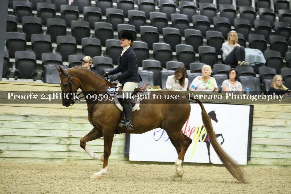 Proof Number 24BUCK_09595