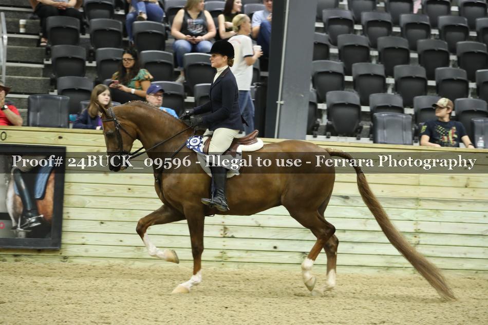 Proof Number 24BUCK_09596