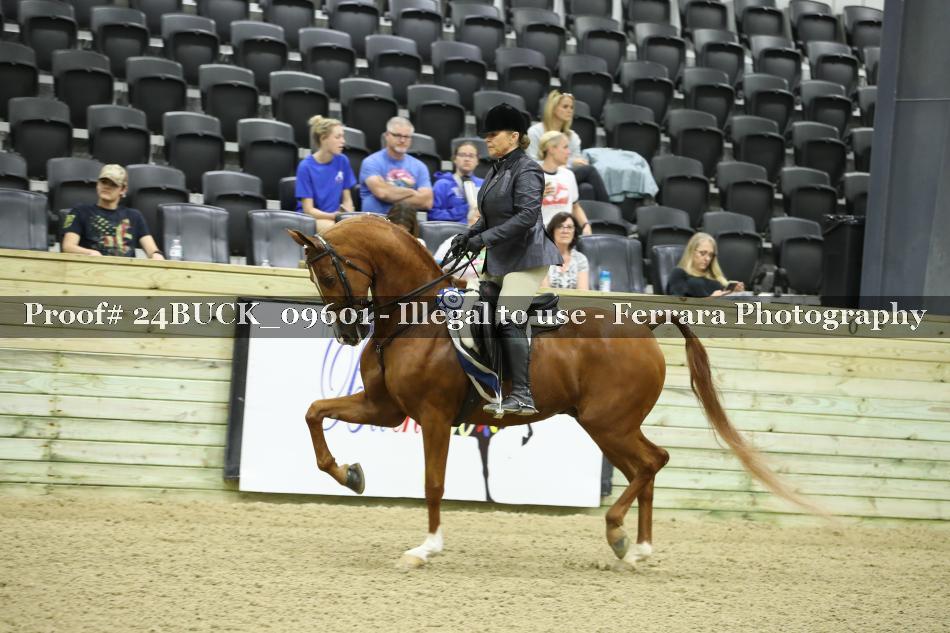 Proof Number 24BUCK_09601