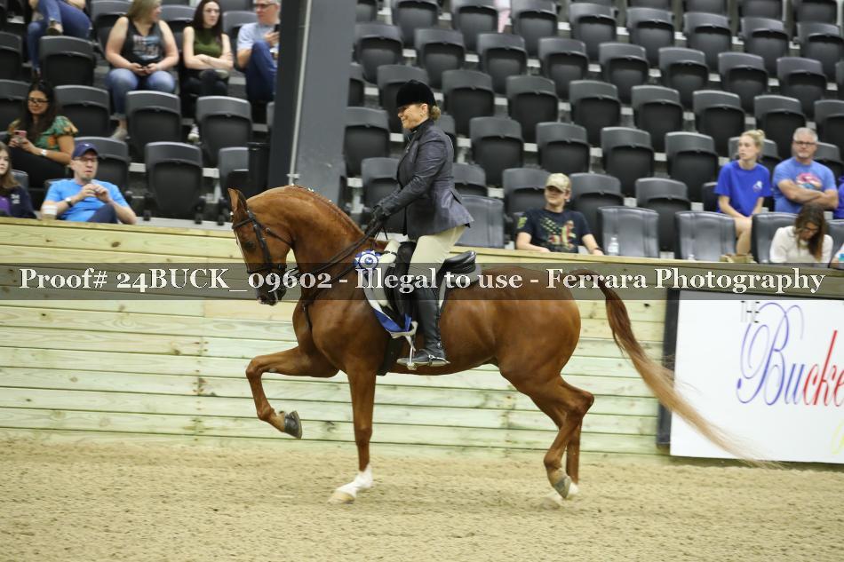 Proof Number 24BUCK_09602