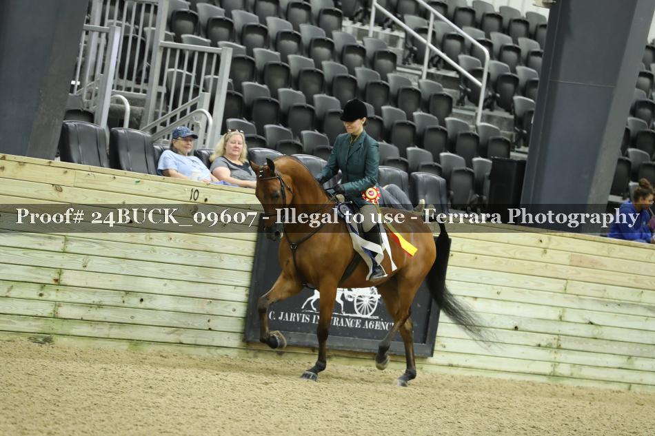 Proof Number 24BUCK_09607