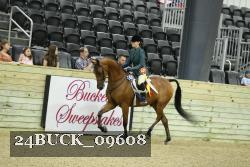 24BUCK_09608 thumbnail