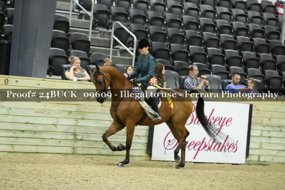 Proof Number 24BUCK_09609