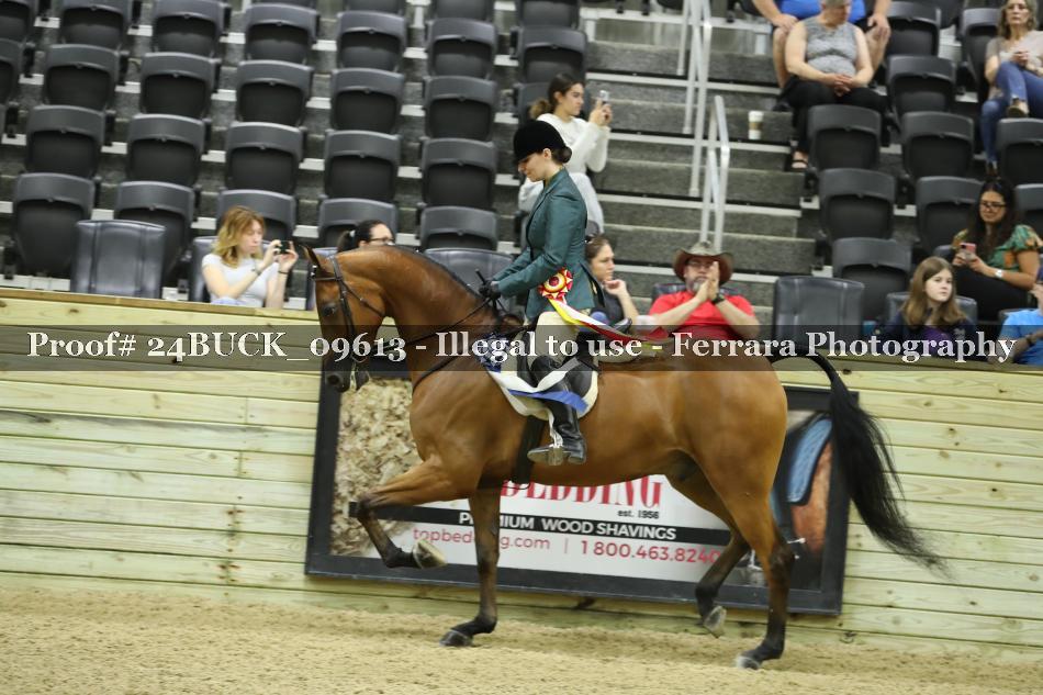 Proof Number 24BUCK_09613