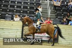 24BUCK_09613 thumbnail