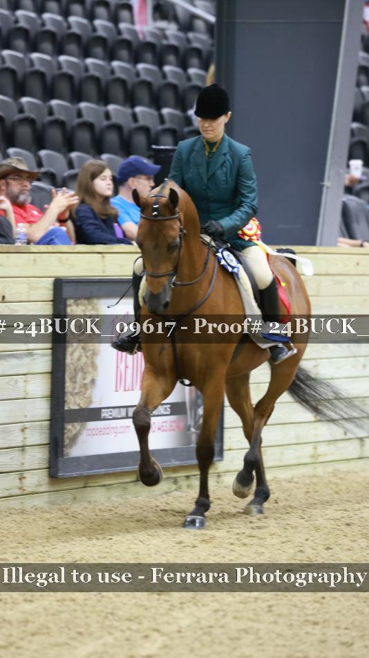 Proof Number 24BUCK_09617
