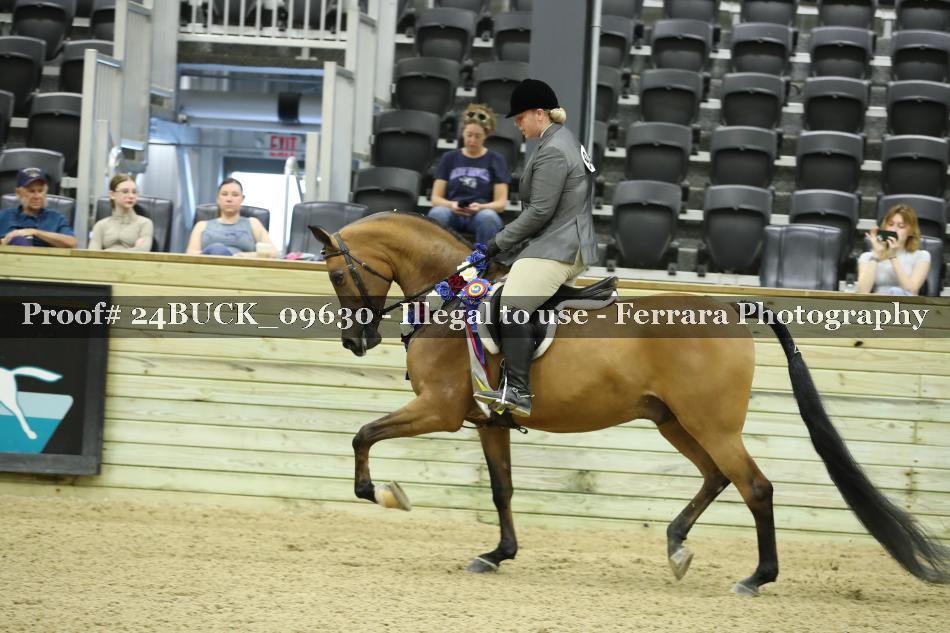 Proof Number 24BUCK_09630