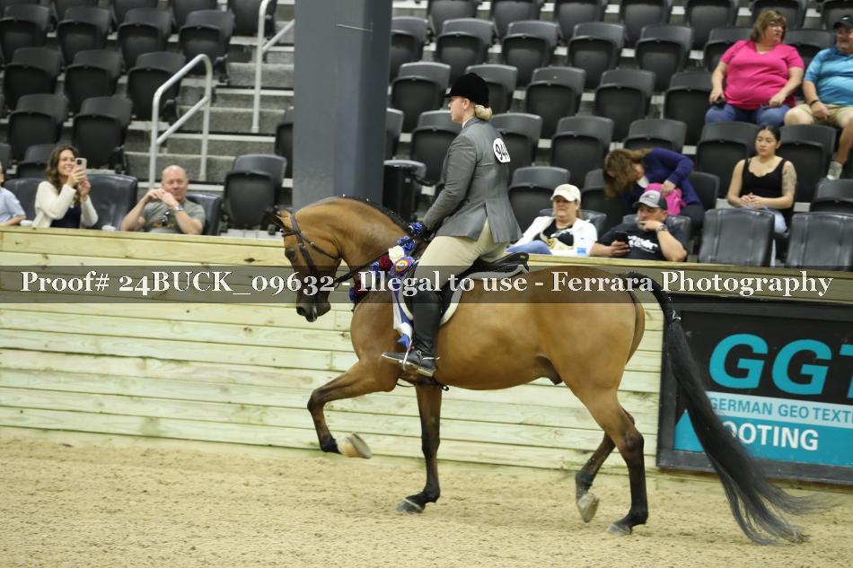 Proof Number 24BUCK_09632