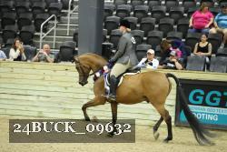 24BUCK_09632 thumbnail