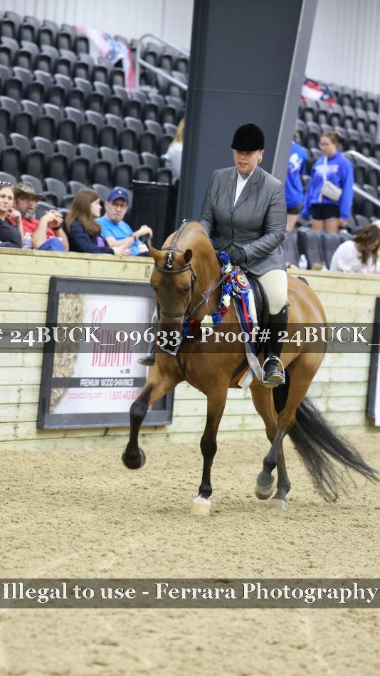 Proof Number 24BUCK_09633