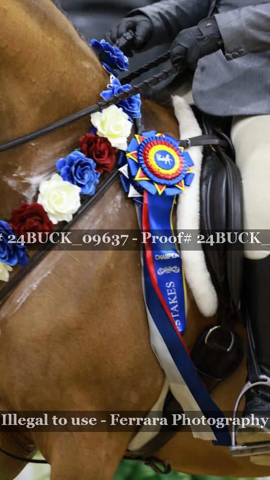 Proof Number 24BUCK_09637