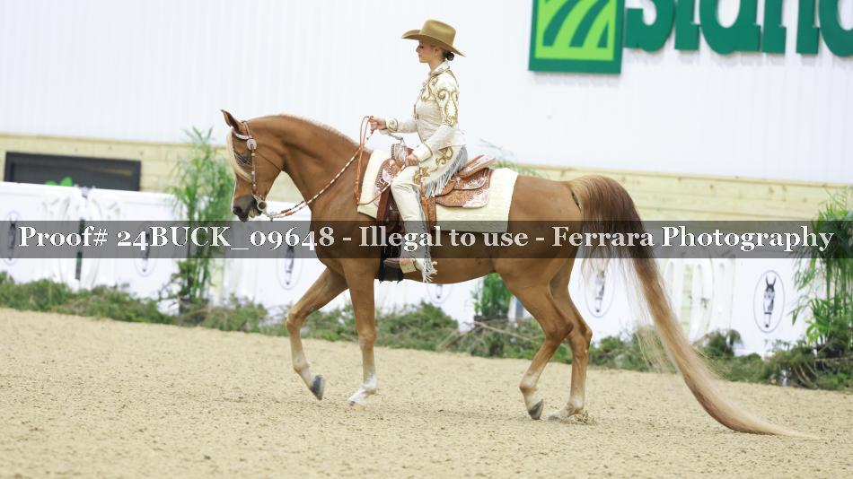 Proof Number 24BUCK_09648