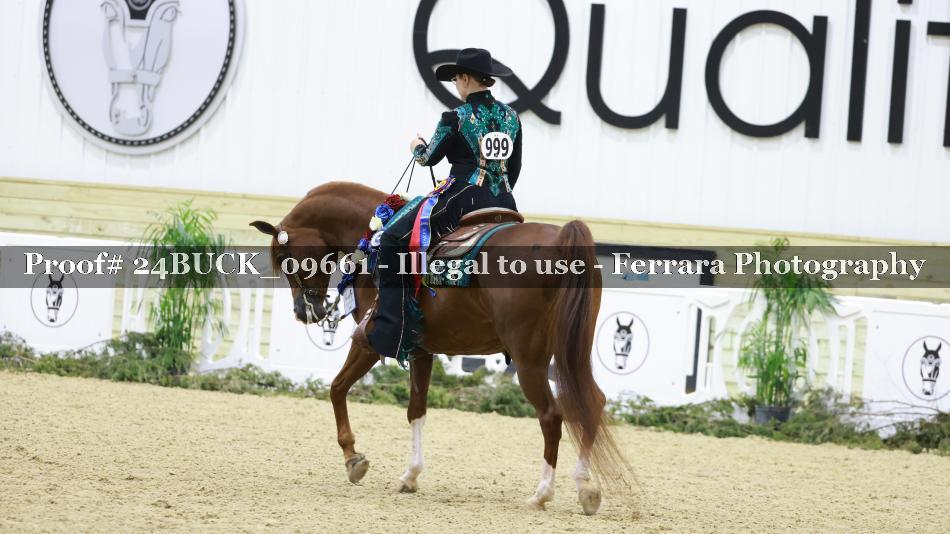 Proof Number 24BUCK_09661