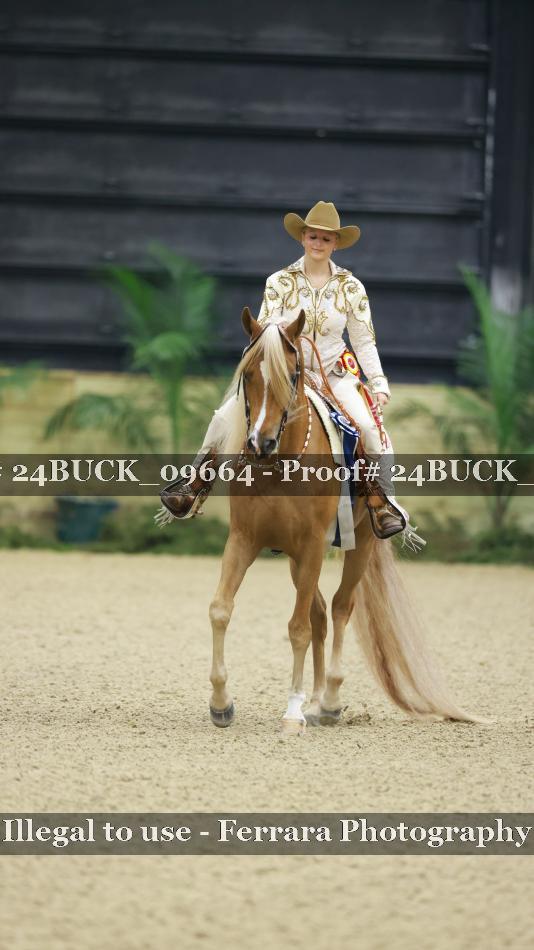 Proof Number 24BUCK_09664