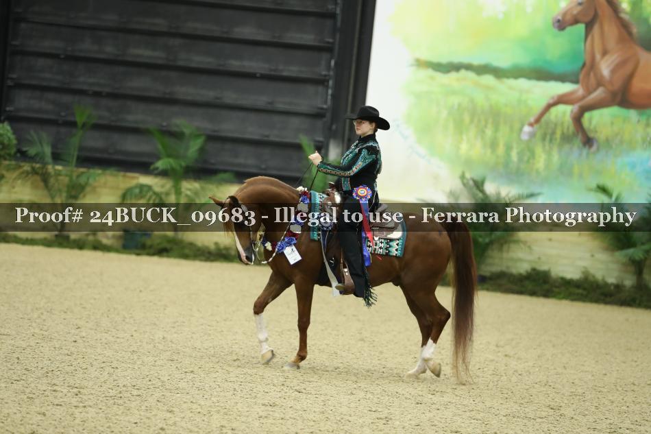 Proof Number 24BUCK_09683