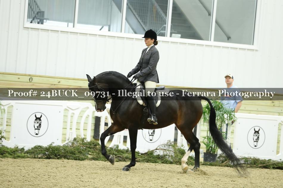 Proof Number 24BUCK_09731