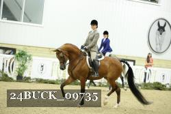 24BUCK_09735 thumbnail