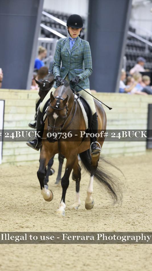 Proof Number 24BUCK_09736