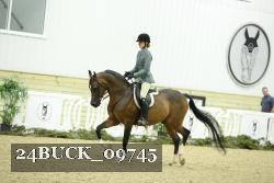 24BUCK_09745 thumbnail