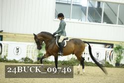 24BUCK_09746 thumbnail