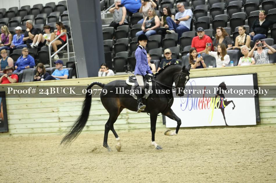 Proof Number 24BUCK_09779