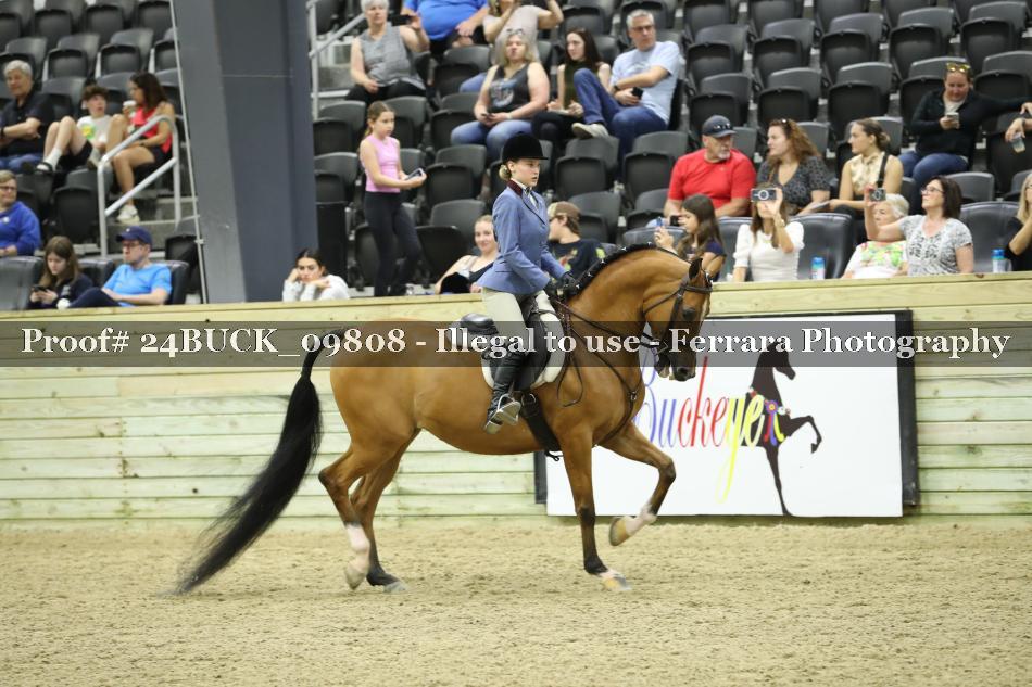 Proof Number 24BUCK_09808
