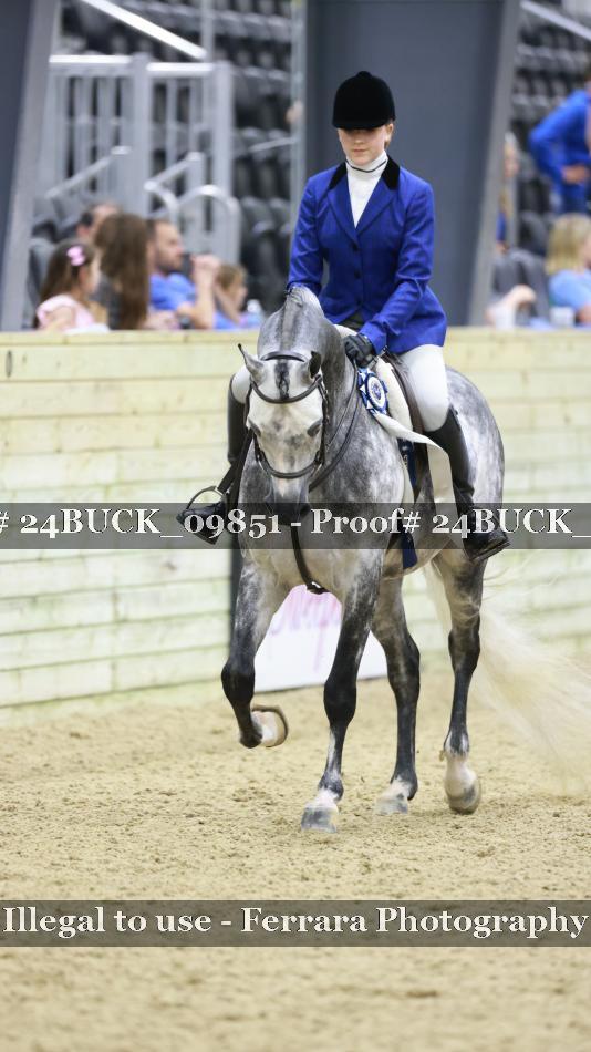 Proof Number 24BUCK_09851