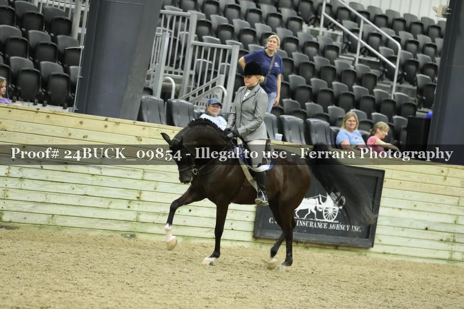 Proof Number 24BUCK_09854