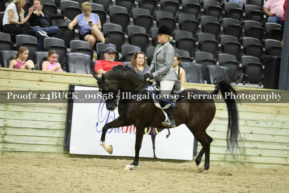 Proof Number 24BUCK_09858