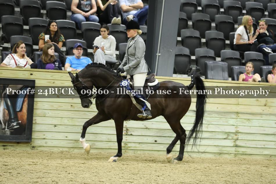 Proof Number 24BUCK_09860