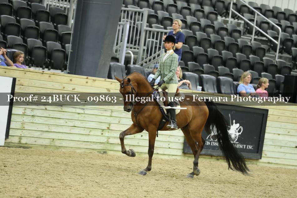 Proof Number 24BUCK_09863