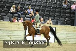 24BUCK_09866 thumbnail