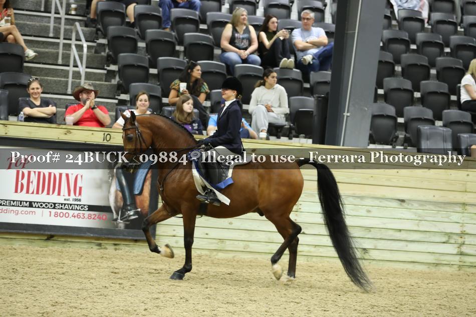 Proof Number 24BUCK_09884
