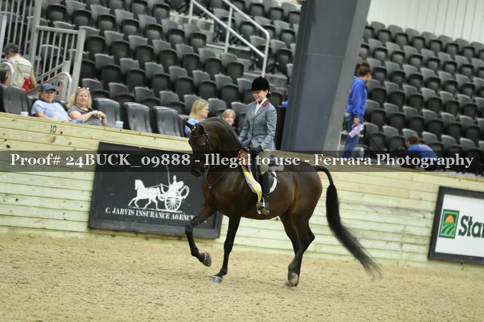 Proof Number 24BUCK_09888