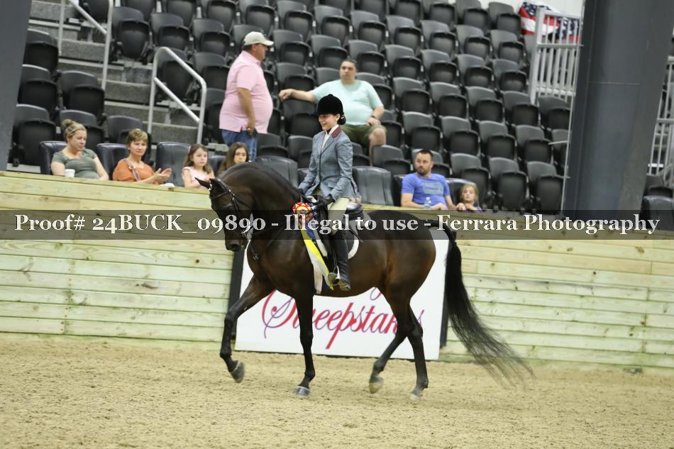 Proof Number 24BUCK_09890