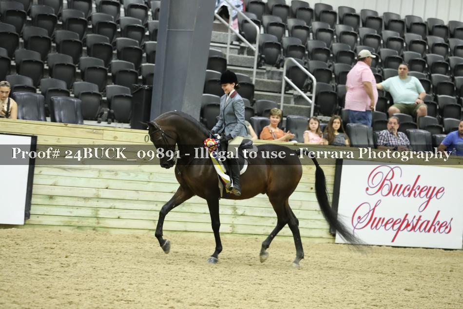 Proof Number 24BUCK_09891