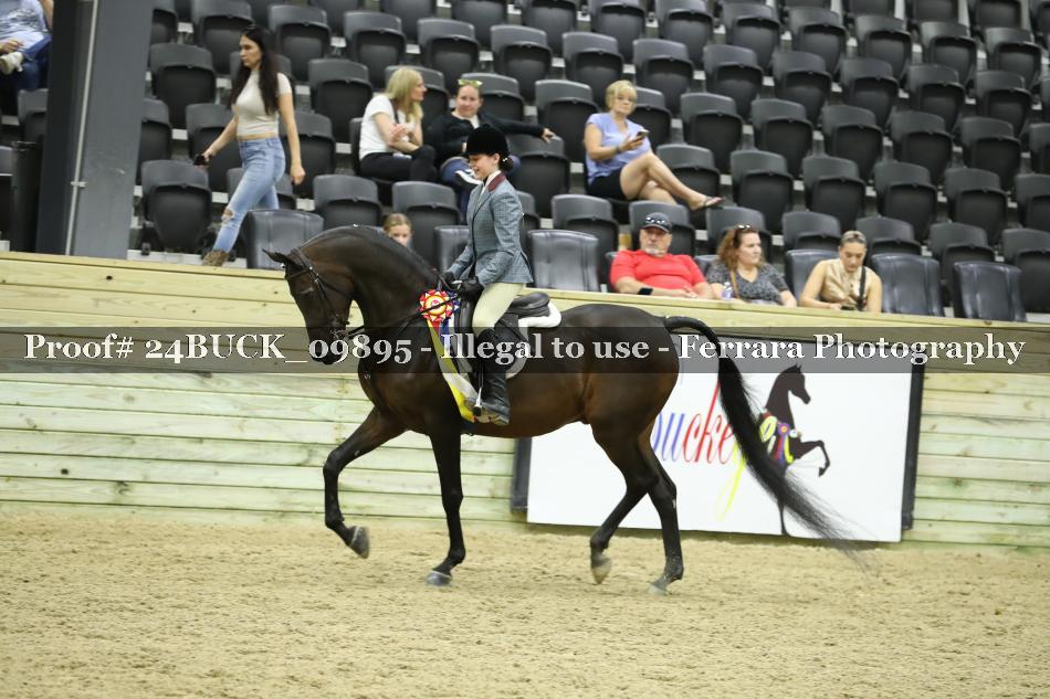 Proof Number 24BUCK_09895
