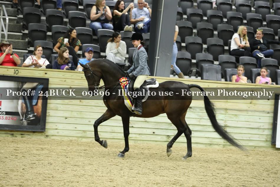 Proof Number 24BUCK_09896