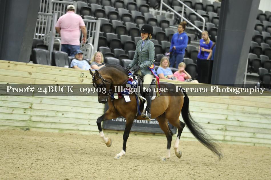 Proof Number 24BUCK_09903