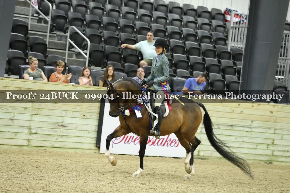 Proof Number 24BUCK_09904