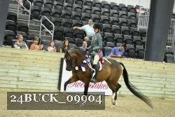 24BUCK_09904 thumbnail