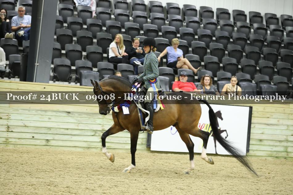 Proof Number 24BUCK_09908